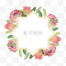 方形边框粉色图片_普罗蒂亚花卉水彩装饰边框