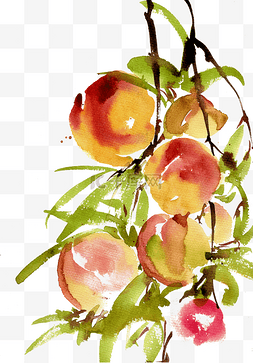 果实红色图片_丰硕的桃子水墨