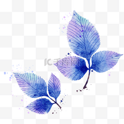 水彩蓝紫色晕染植物