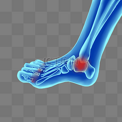 蓝色骨骼人体图片_科技人体骨骼脚骨