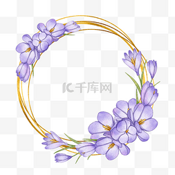 香料植物图片_番红花水彩花卉金色圆环边框
