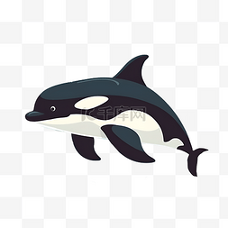 海洋动物图片_卡通海洋动物虎鲸手绘