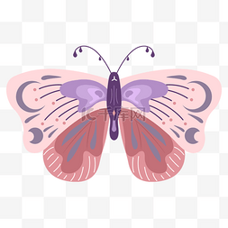 世界波图片_抽象波西米亚风格粉色蝴蝶