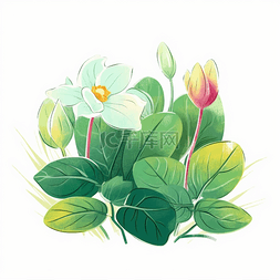 手绘扁平植物插画图片_鲜花植物扁平风手绘