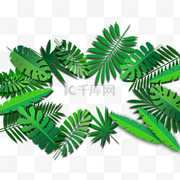 热带植物常绿龟背竹叶子