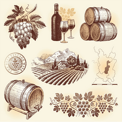 矢量集-葡萄酒和葡萄酒酿造
