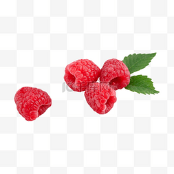 水果树莓图片_树莓熟的摄影图浆果