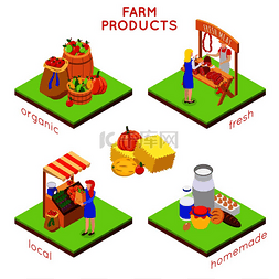 农场当地市场等距41设计概念由食