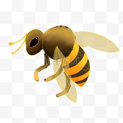 彩色飞舞的蜜蜂