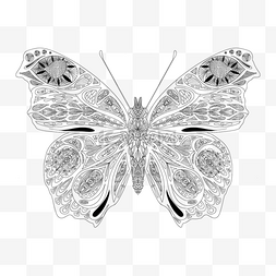 几何线条画蝴蝶填色本黑白