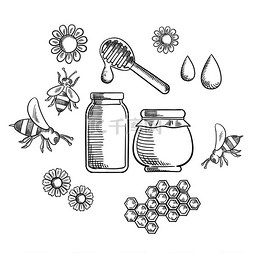 瓶身包装标签图片_养蜂和新鲜蜂蜜图标与鲜花和蜜蜂