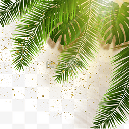 金色星光边框图片_金色光点中的椰子叶