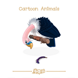 鸟儿插画图片_ 卡通系列卡通动物︰ 捕食者的鸟