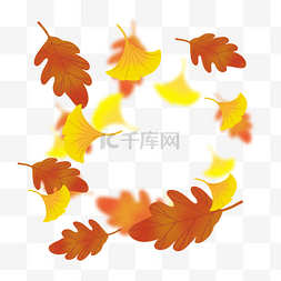 立秋飘落的树叶图片_秋天飘落的树叶叶子