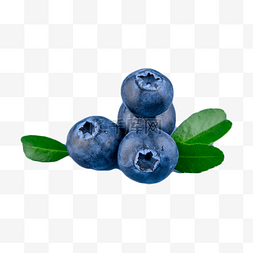 维生素食物食品蓝莓