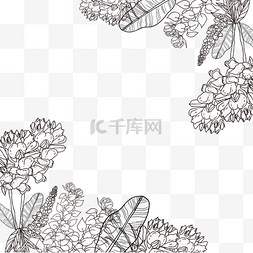 花线稿绘制树叶边框