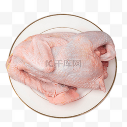 大型食肉动物图片_生肉整只鸡