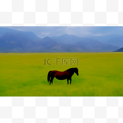 草原奔跑的马图片_草原上的马