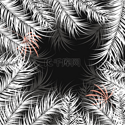 时尚插图设计图片_白色棕榈叶和深色背景植物的热带
