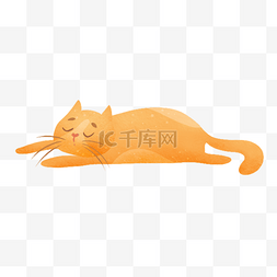 猫咪身体结构图片_睡觉的猫咪