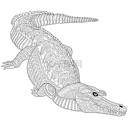 卡通鳄图片_程式化的 Zentangle 鳄鱼 （短吻鳄)