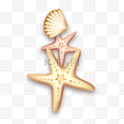 浅黄色海星贝壳