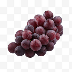 葡萄有机素食紫色