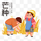 芒种二十四节气农民收割水稻