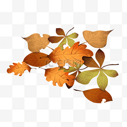 秋天季节落叶堆图片_秋天季节树叶落叶堆