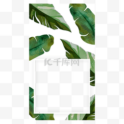 创意树叶字母图片_边框水彩植物自然正方形instagram