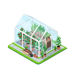 园艺首页图片_温室等距构图温室等距设置与植物