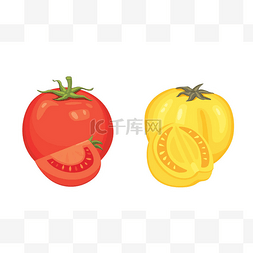 新鲜红番茄和汤矢量插图的集合。