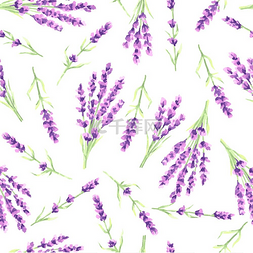 紫罗兰色的图片_薰衣草花无缝图案普罗旺斯草本植
