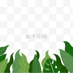 热带树叶芭蕉叶龟背竹边框