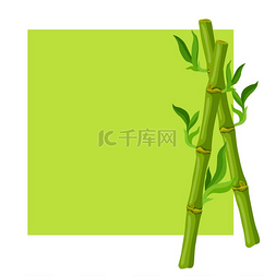 树干与叶子图片_与绿色竹茎和叶子的背景。