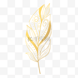 抽象线条咖啡树枝图片_抽象纹理金色镂空羽毛