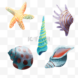 海星贝壳珊瑚图片_贝壳海洋水彩组合海里动物的外壳