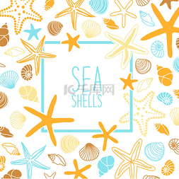 海星贝壳卡通图片_ 贝壳和海星的框架