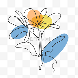 线条植物花卉图片_抽象线条画植物花卉鸡蛋花