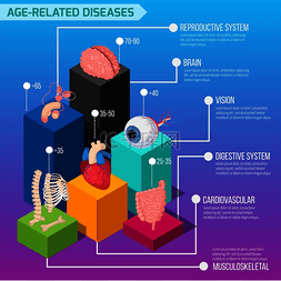 人类骨骼图片_与年龄相关的人类疾病信息图表布