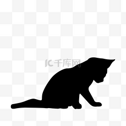 猫咪黑白图片_黑色猫咪剪影