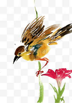彩色水墨画鸟图片_黄色的小鸟