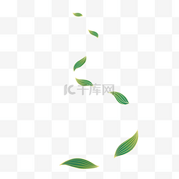 叶子和喜鹊图片_描线描金叶子绿叶