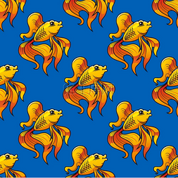 金鱼和鱼缸图片_蓝色背景上长长的流动鳍和尾巴的