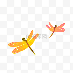 蜻蜓绿幕素材图片_中国风古风描金蜻蜓