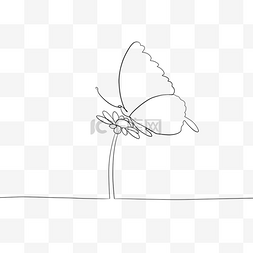 抽象线条画花卉蝴蝶