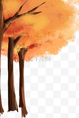 黄昏下的枫树图片_植物秋季枫树