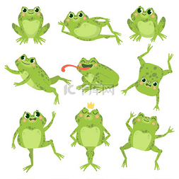可爱的青蛙。各种姿势的绿色滑稽