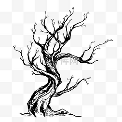 枯树枝免抠图片_素描树干树枝线描
