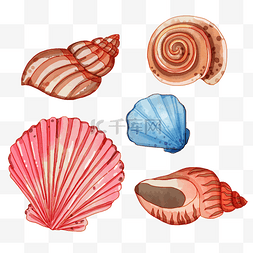 海洋贝壳扇贝水彩画